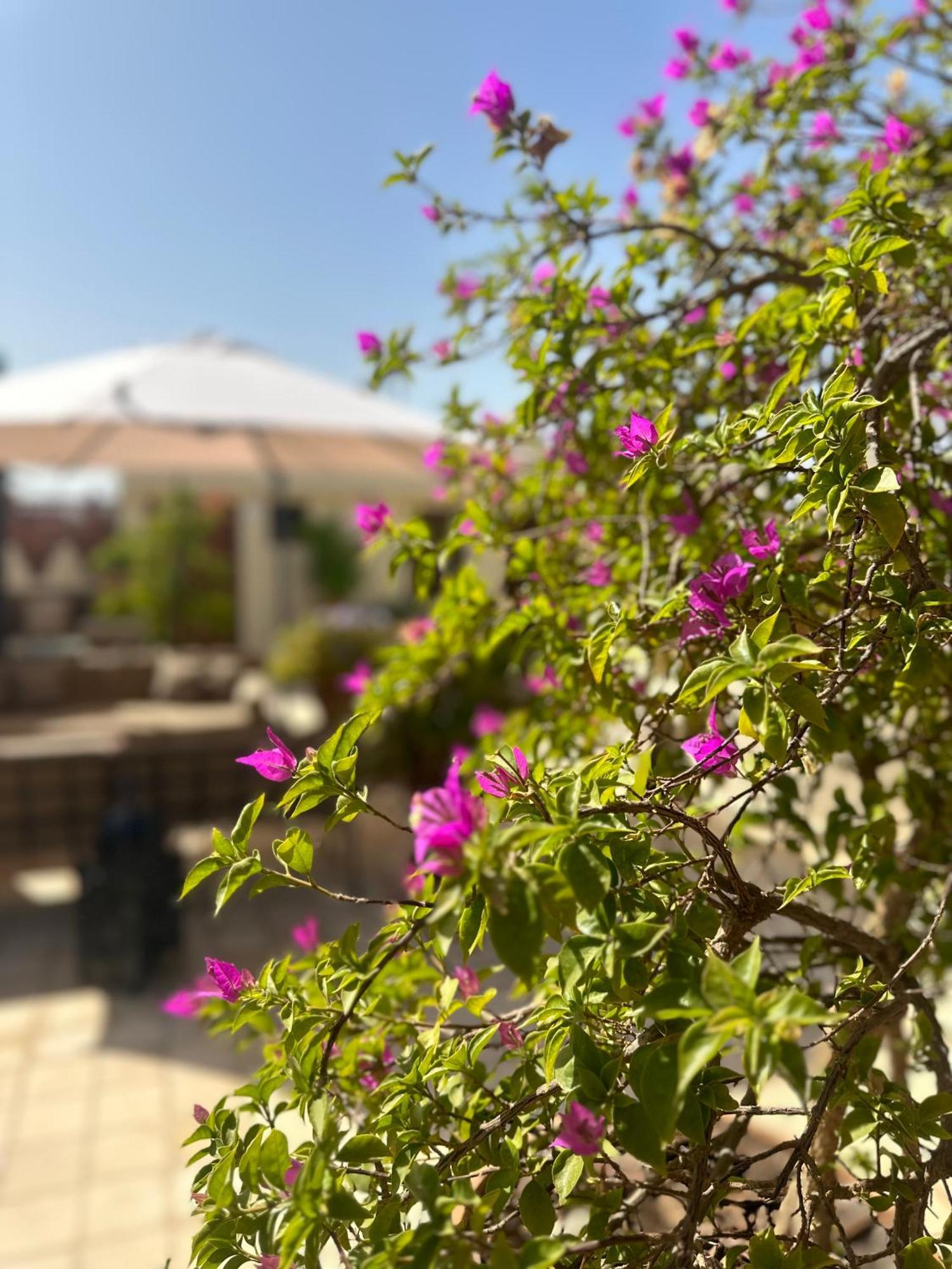 La Claire Fontaine Hotel Marrakesh Bagian luar foto